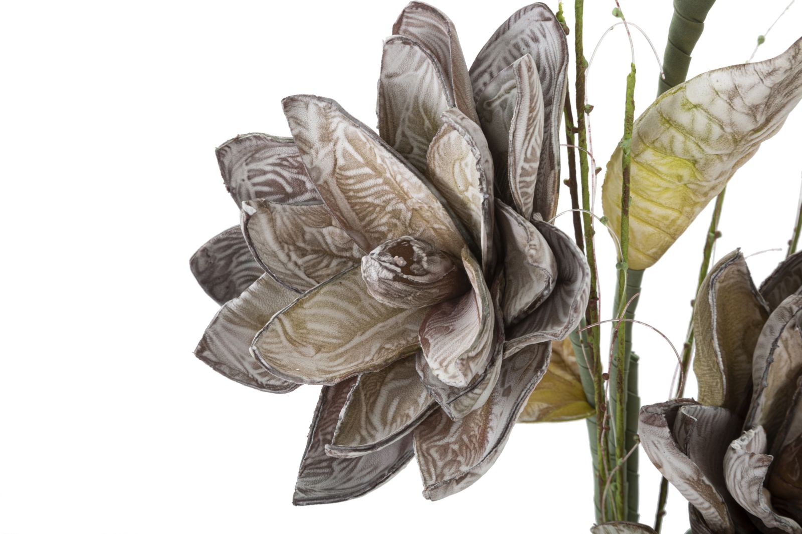MAGNOLIA X3 VERDE CM Ø 30X90 MIN 10 - immagine 3