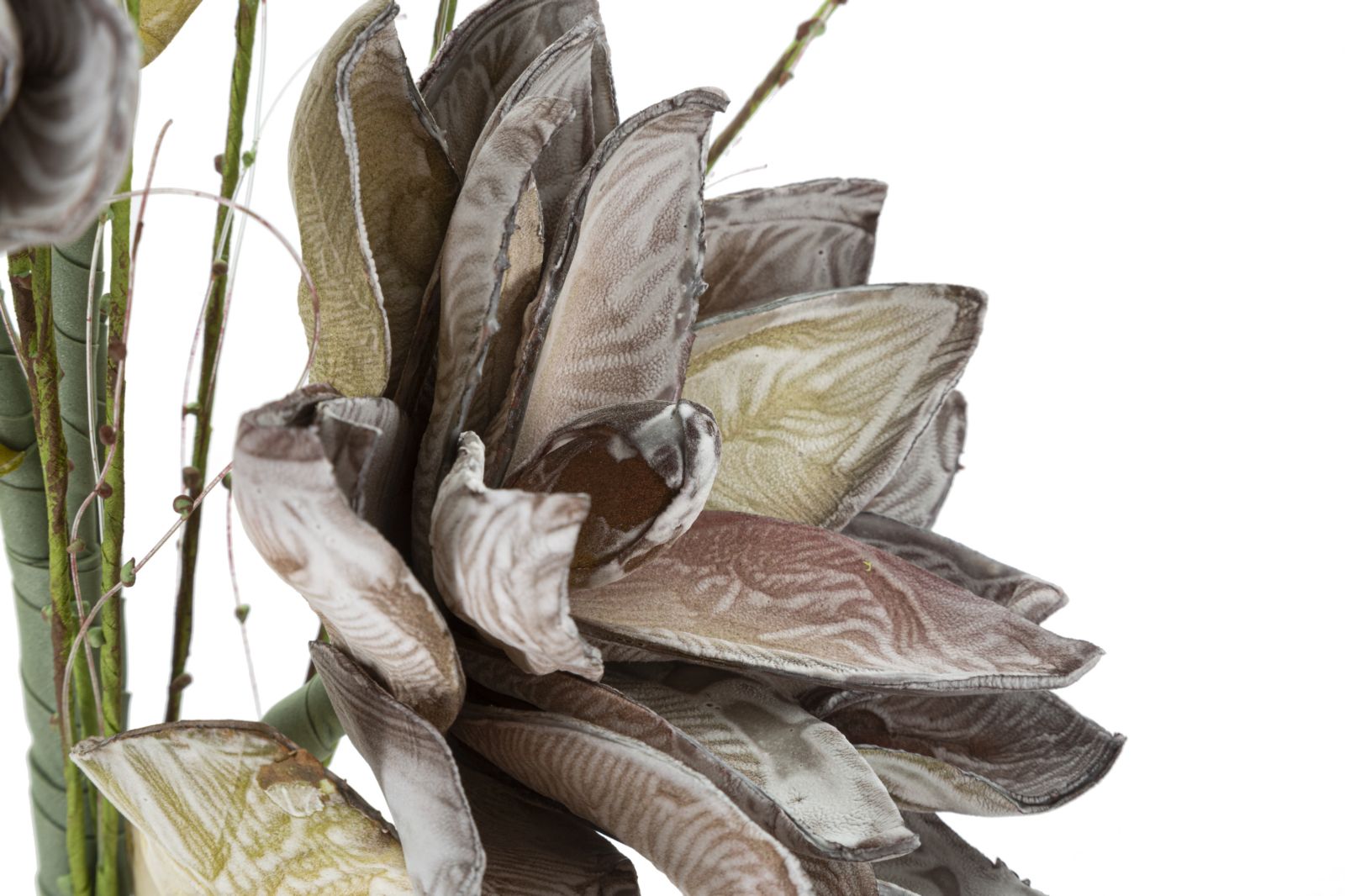 MAGNOLIA X3 VERDE CM Ø 30X90 MIN 10 - immagine 4