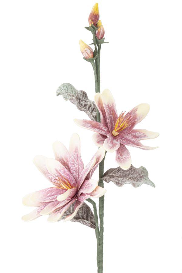 MAGNOLIA X2 PURPLE CM Ø 25X98 MIN 12 - immagine 2