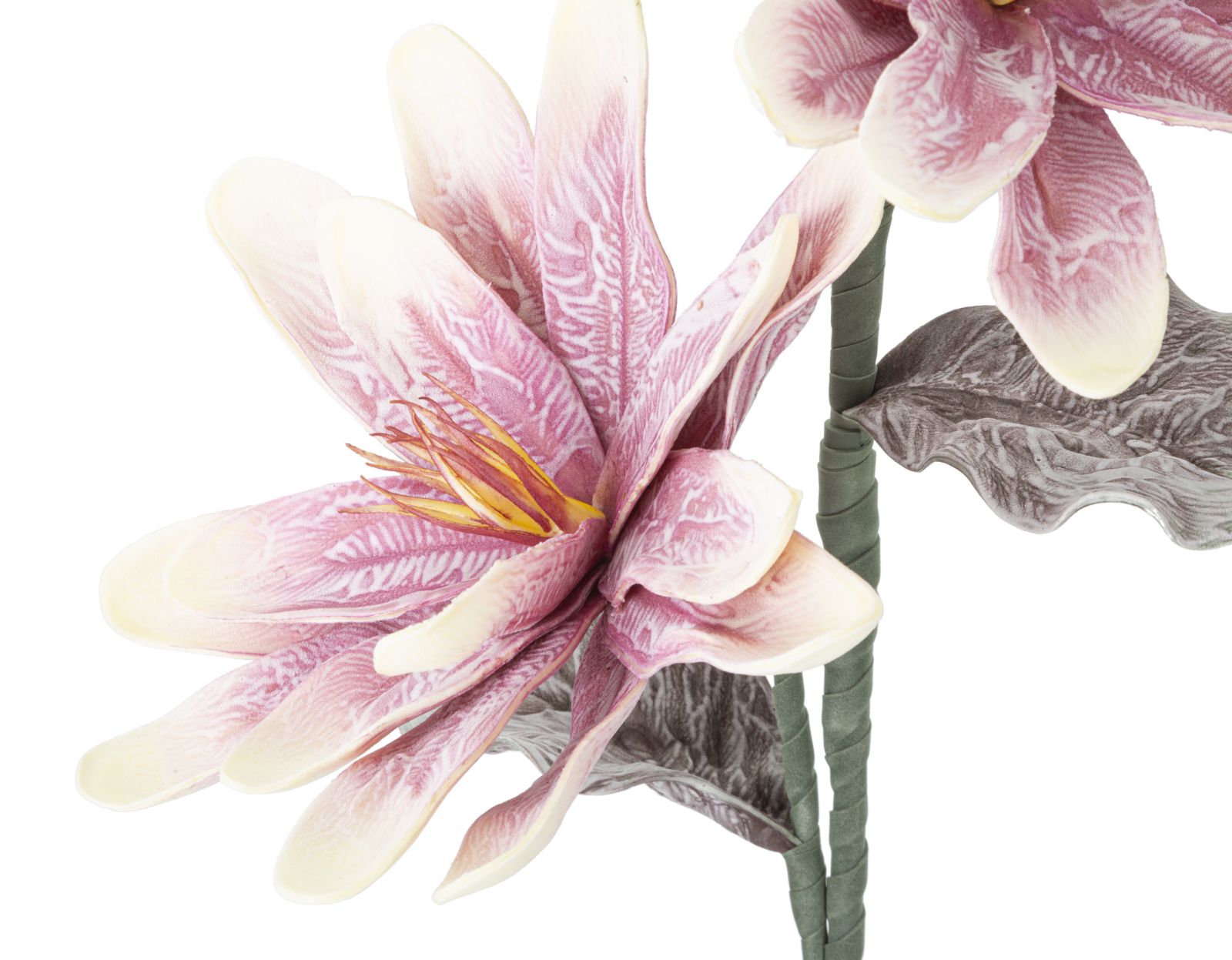 MAGNOLIA X2 PURPLE CM Ø 25X98 MIN 12 - immagine 3