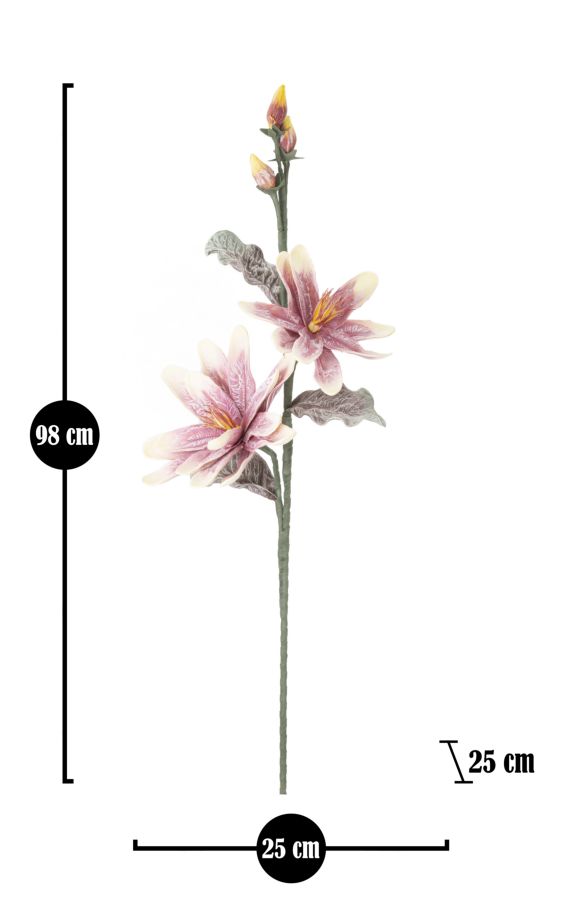 MAGNOLIA X2 PURPLE CM Ø 25X98 MIN 12 - immagine 6