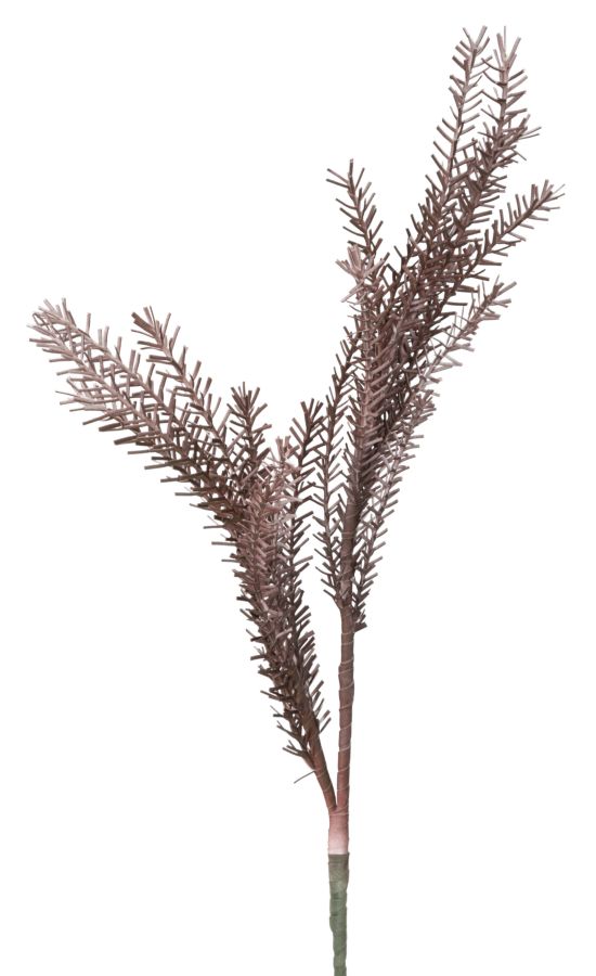 BULRUSH ROSSO CM Ø 35X93 MIN 18 - immagine 2