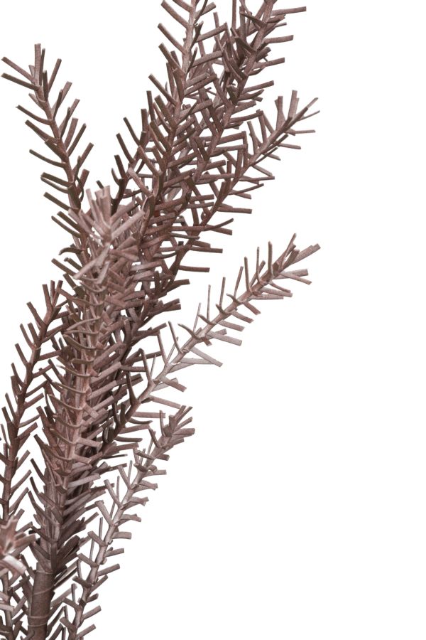 BULRUSH ROSSO CM Ø 35X93 MIN 18 - immagine 3