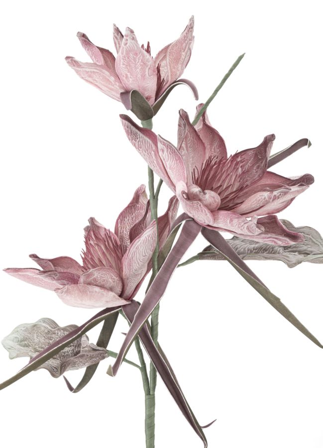 EPIPHY HUM X3 ROSA CM Ø 35X98 MIN 8 - immagine 2
