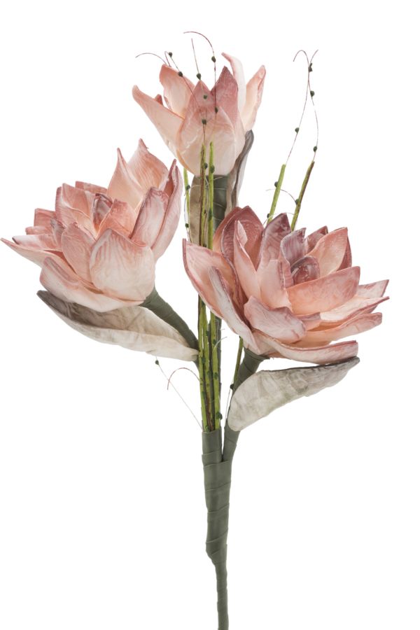 MAGNOLIA X3 ARANCIO CM Ø 30X90 MIN 10 - immagine 2