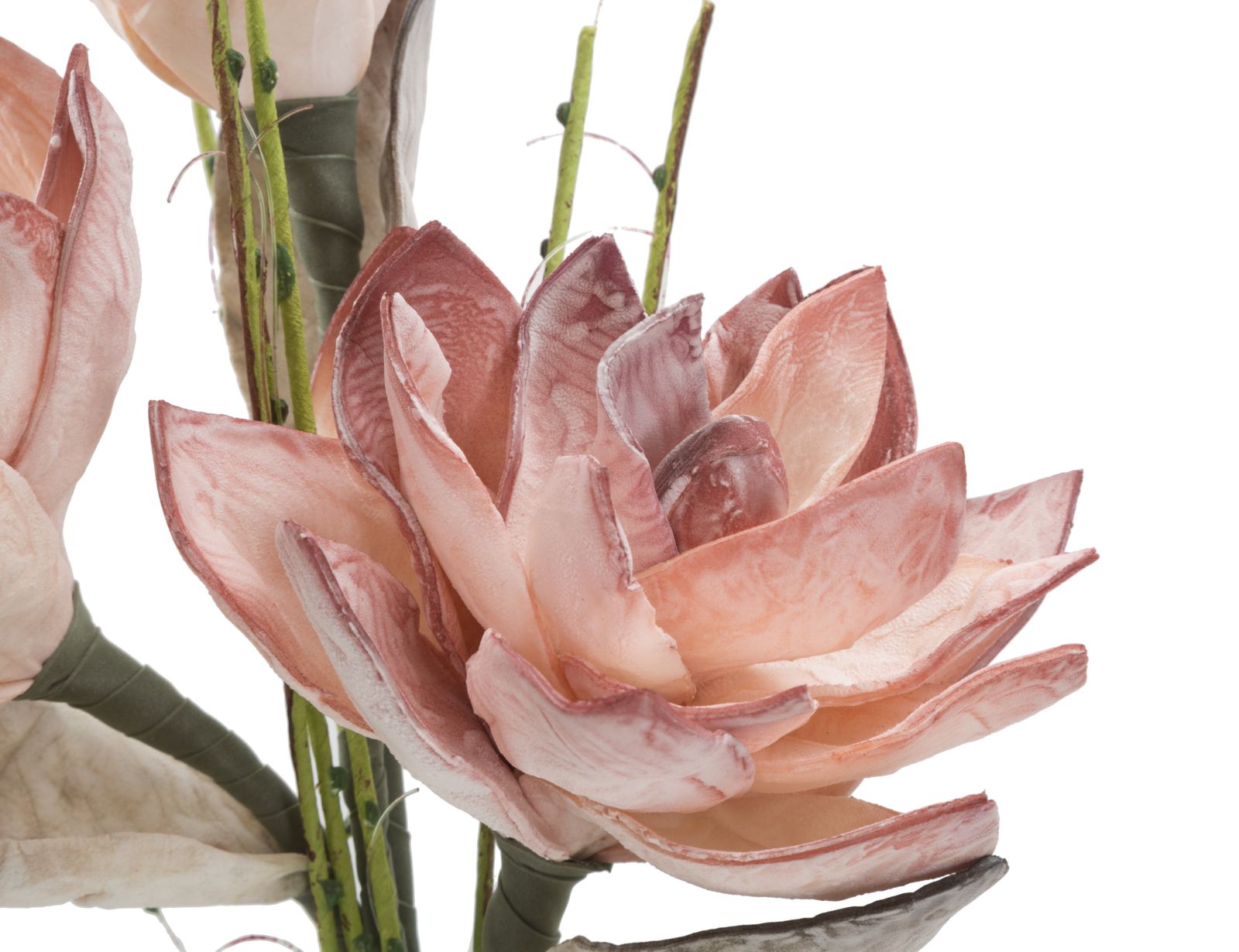 MAGNOLIA X3 ARANCIO CM Ø 30X90 MIN 10 - immagine 3