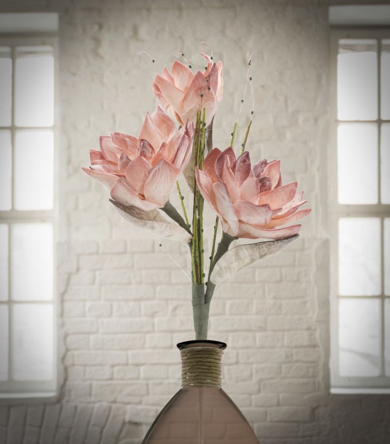 MAGNOLIA X3 ARANCIO CM Ø 30X90 MIN 10 - immagine 4