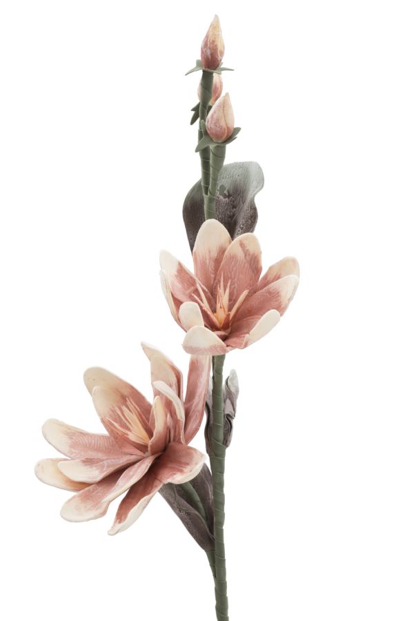 MAGNOLIA X2 ARANCIONE CM Ø 25X98 MIN 12 - immagine 2