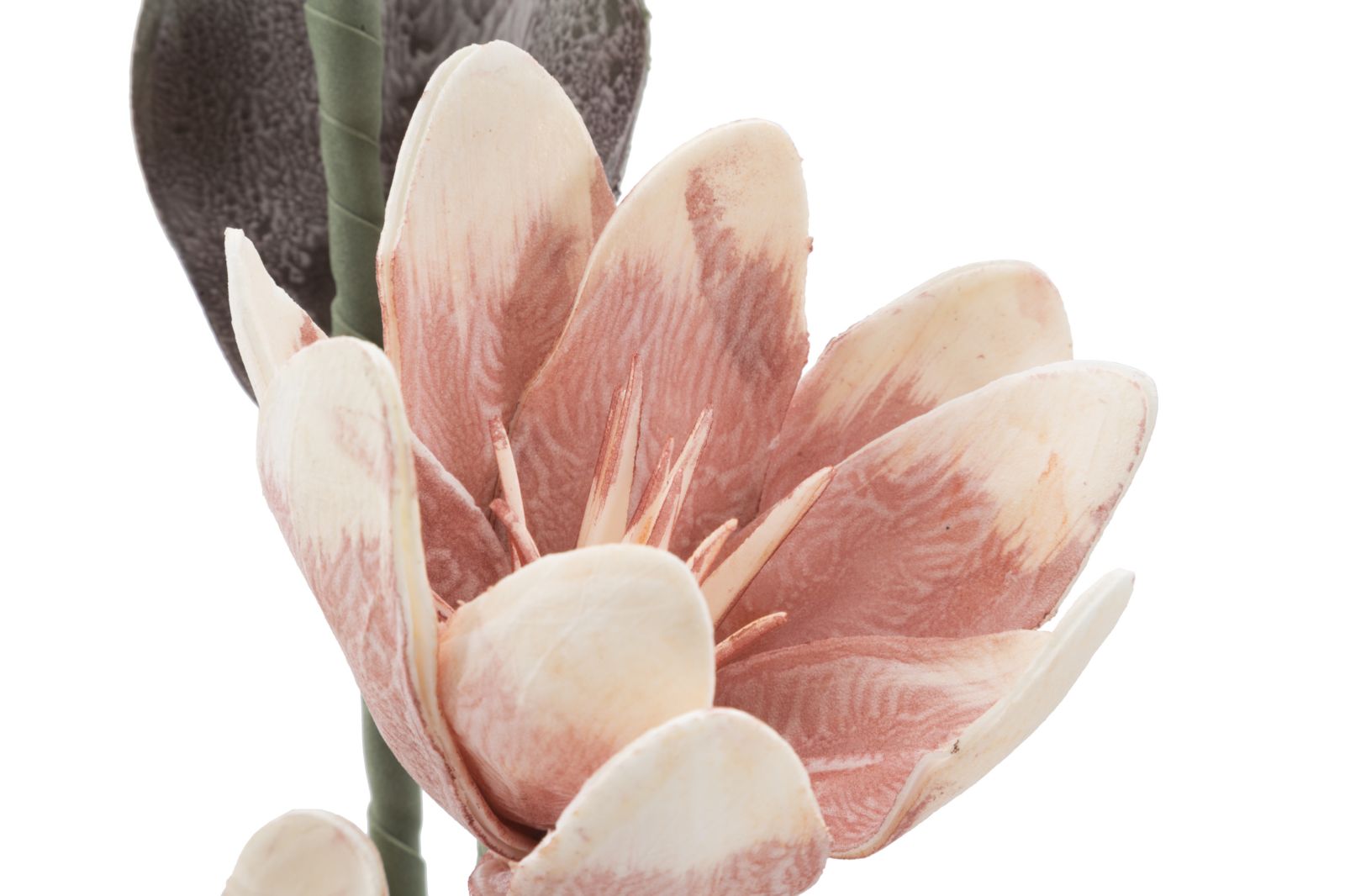 MAGNOLIA X2 ARANCIONE CM Ø 25X98 MIN 12 - immagine 3