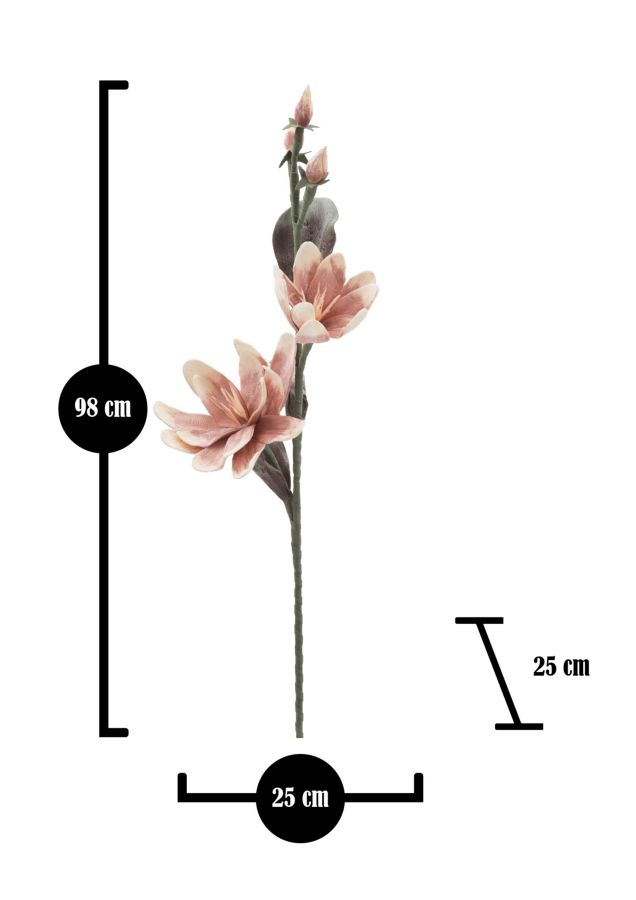 MAGNOLIA X2 ARANCIONE CM Ø 25X98 MIN 12 - immagine 5