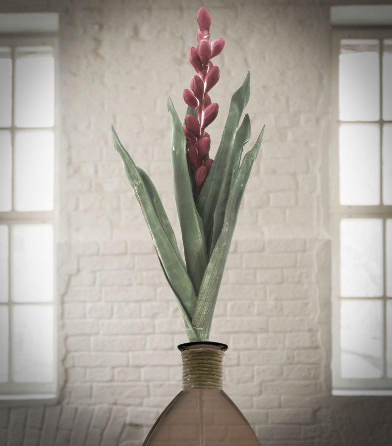 ALOE FLOWER ROSA CM Ø 23X93 MIN 10 - immagine 4