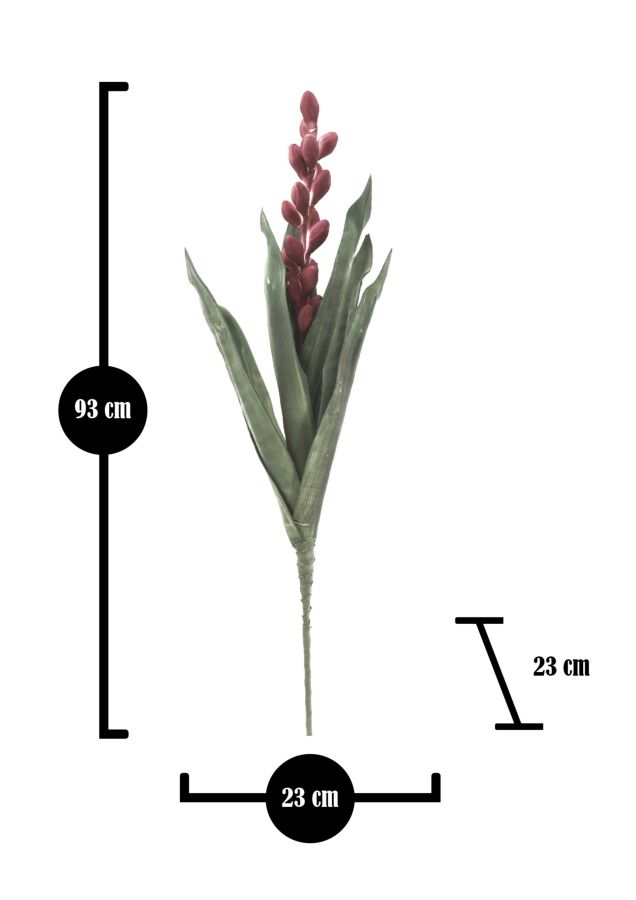 ALOE FLOWER ROSA CM Ø 23X93 MIN 10 - immagine 5