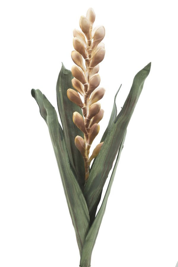 ALOE FLOWER GIALLO CM Ø 23X93 MIN 10 - immagine 2
