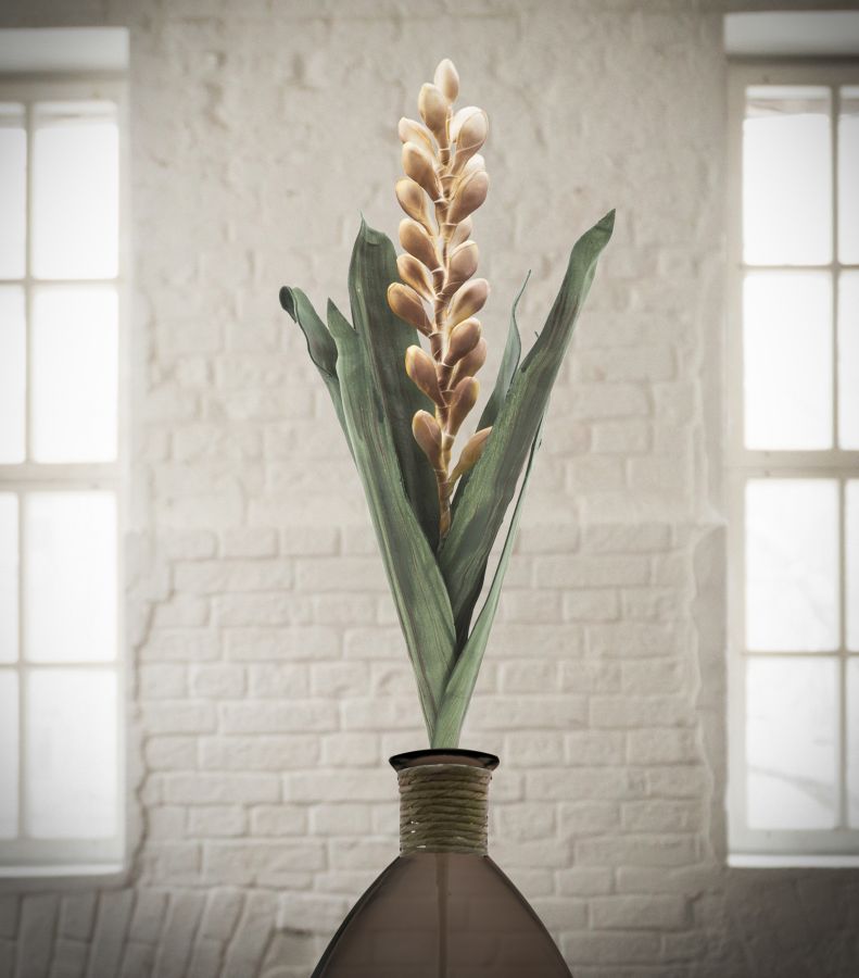 ALOE FLOWER GIALLO CM Ø 23X93 MIN 10 - immagine 4