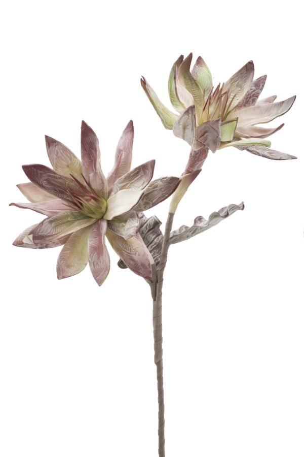 GLSANG FLOWER X2 VERDE CM Ø 28X88 MIN 12 - immagine 2