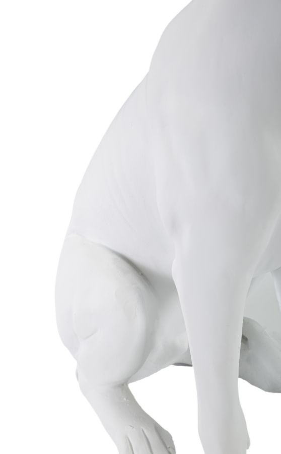 CANE C/CORONA BIANCO CM 20X12,5X33 - immagine 6