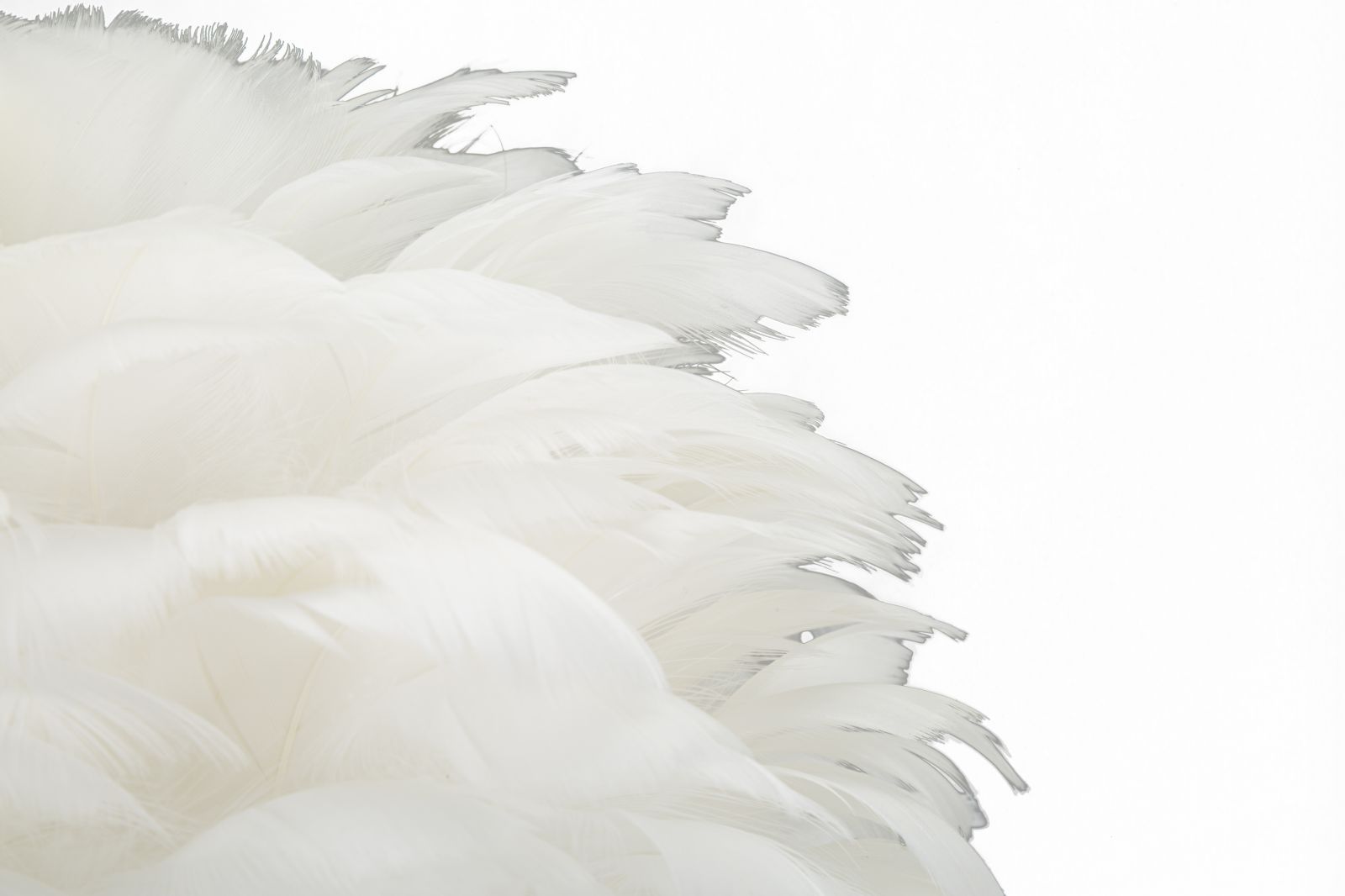 LAMPADA DA TAVOLO BALL FEATHER CM Ø 30X50 - immagine 4
