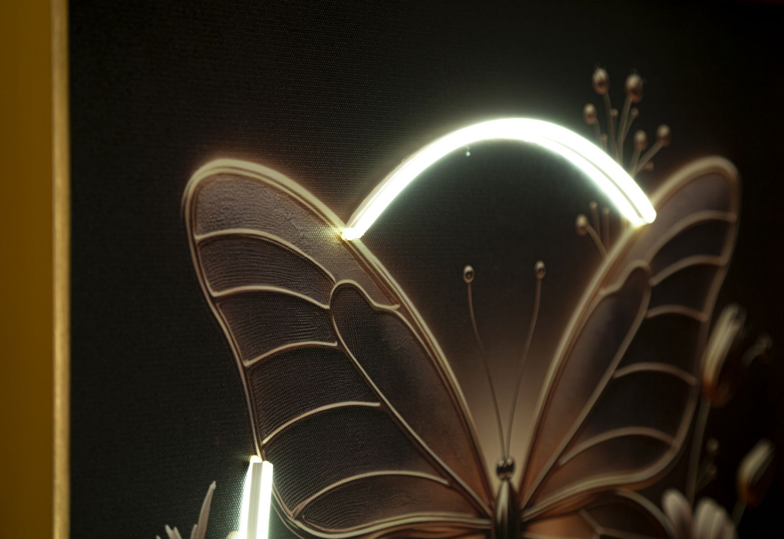 STAMPA C/LED SU TELA LACCATA C/CORNICE BUTTERFLY CM 50X4X50 ALIMENTAZIONE USB - immagine 6