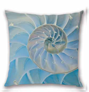 Cuscino  CASA ANVERSA